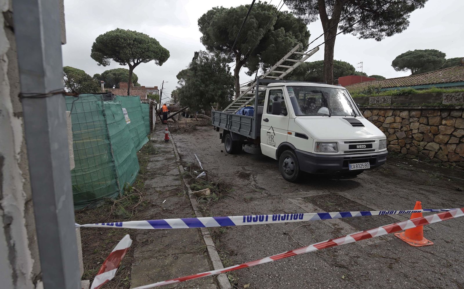 24 horas sin electricidad en la urbanización Los Pinos por árboles caídos tras la borrasca Kristin, en imágenes