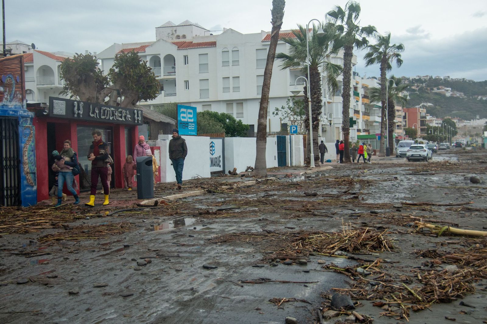 Las cañaveras, arena y piedras se hacen con parte del paseo marítimo de La Herradura