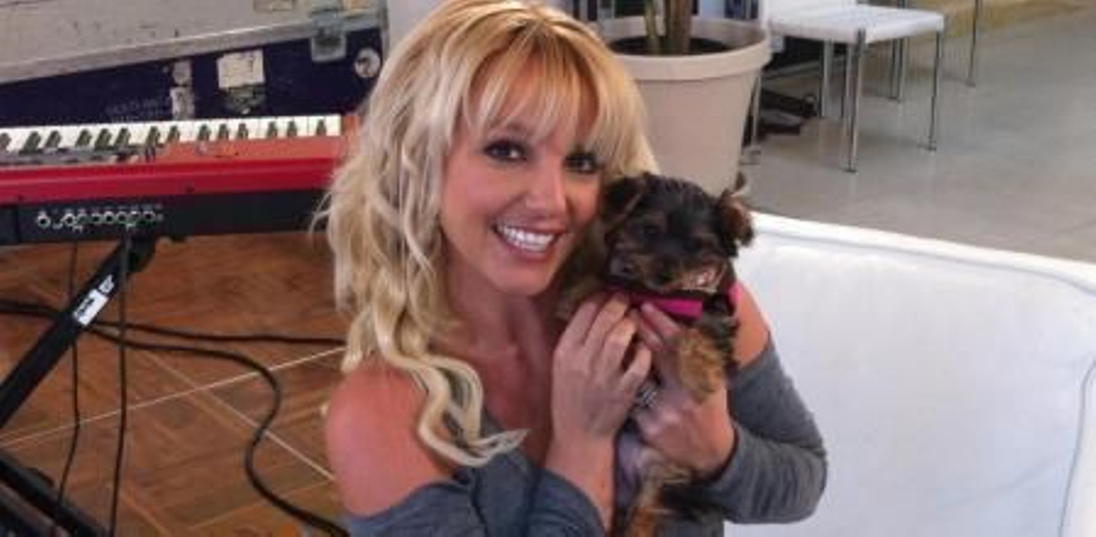 Los perros de Britney Spears: motivo de una nueva pelea, esta vez con su empleada