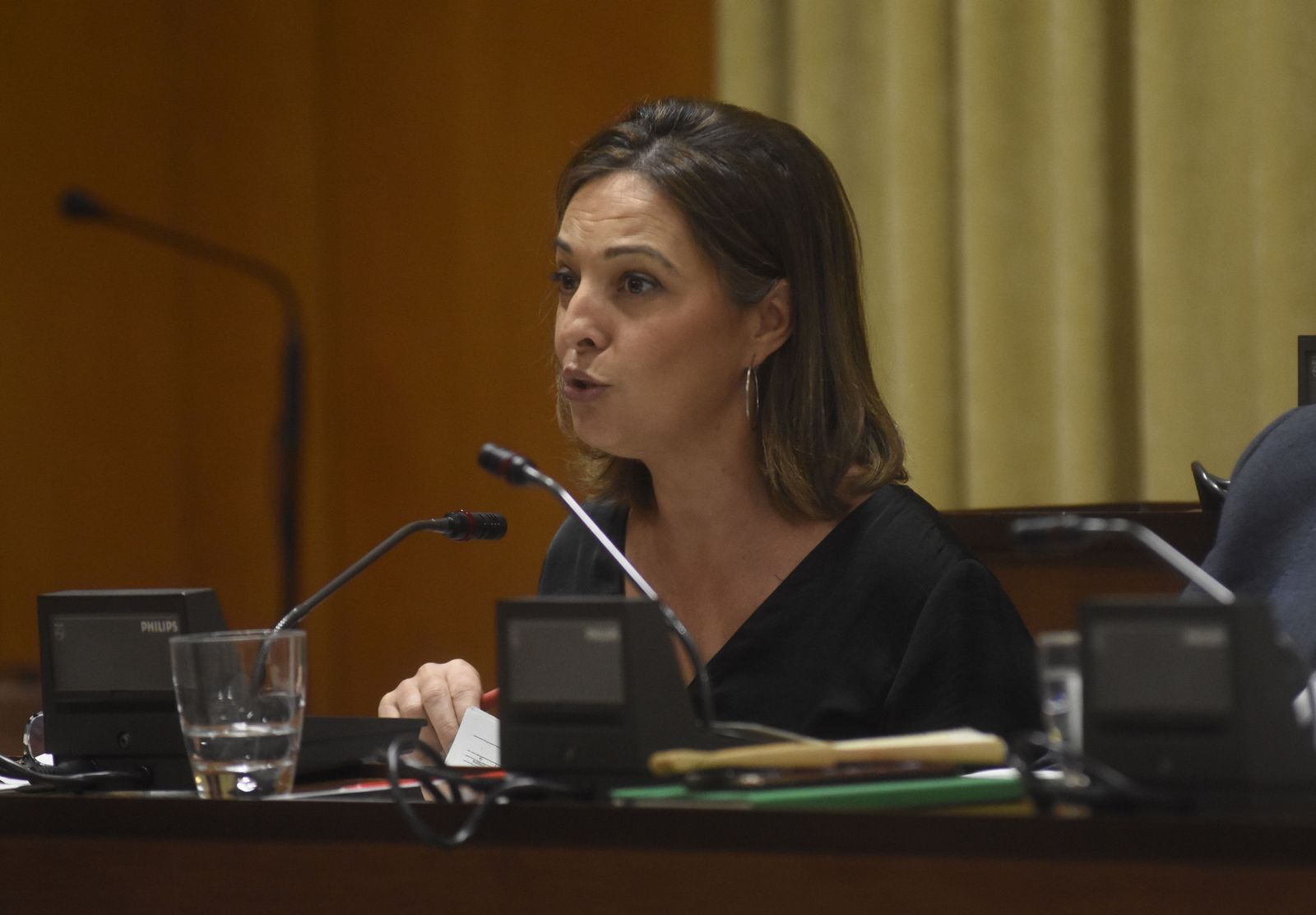 Isabel Ambrosio, durante un pleno municipal.