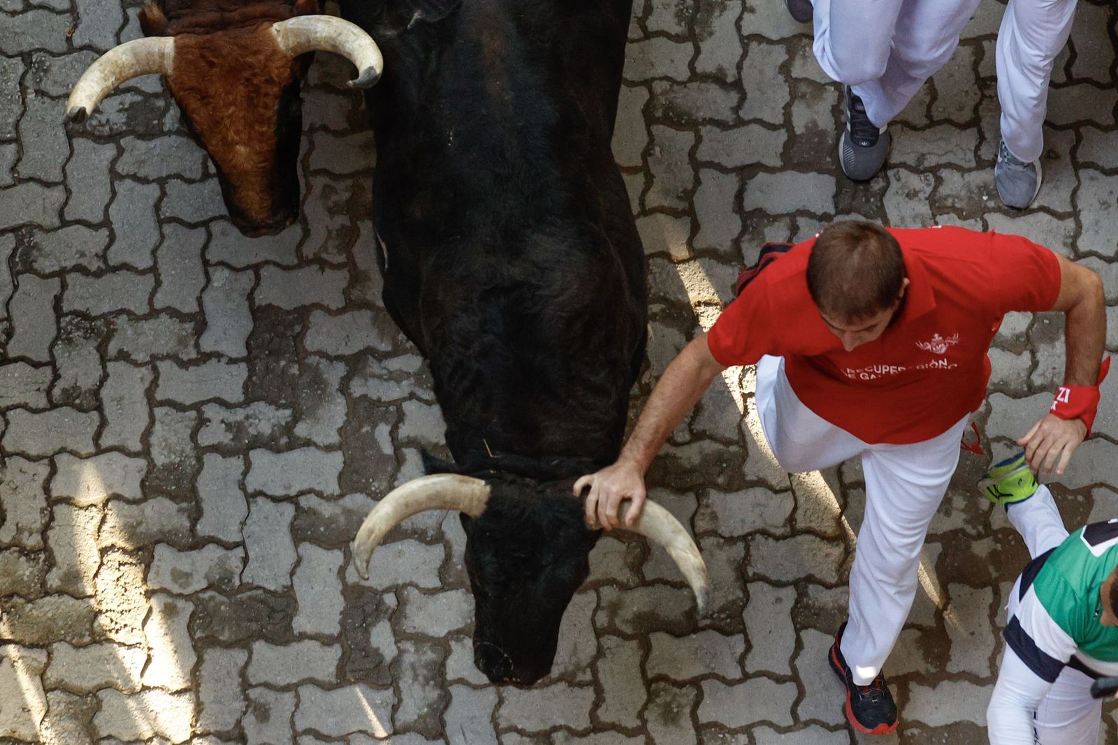 Las imágenes de los toros de Jandilla en los sanfermines