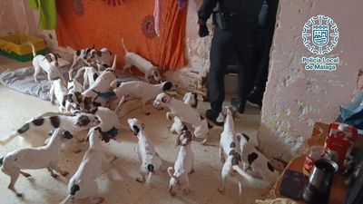 राजस्थान एक्सएक्सएक्स वीडियो