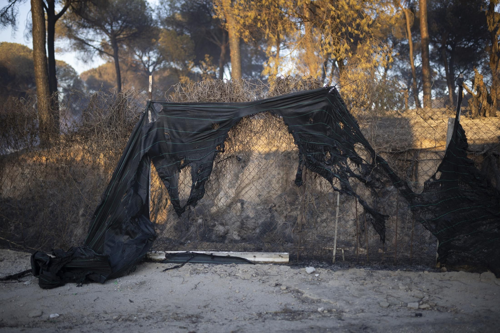 Imágenes del incendio de Bonares