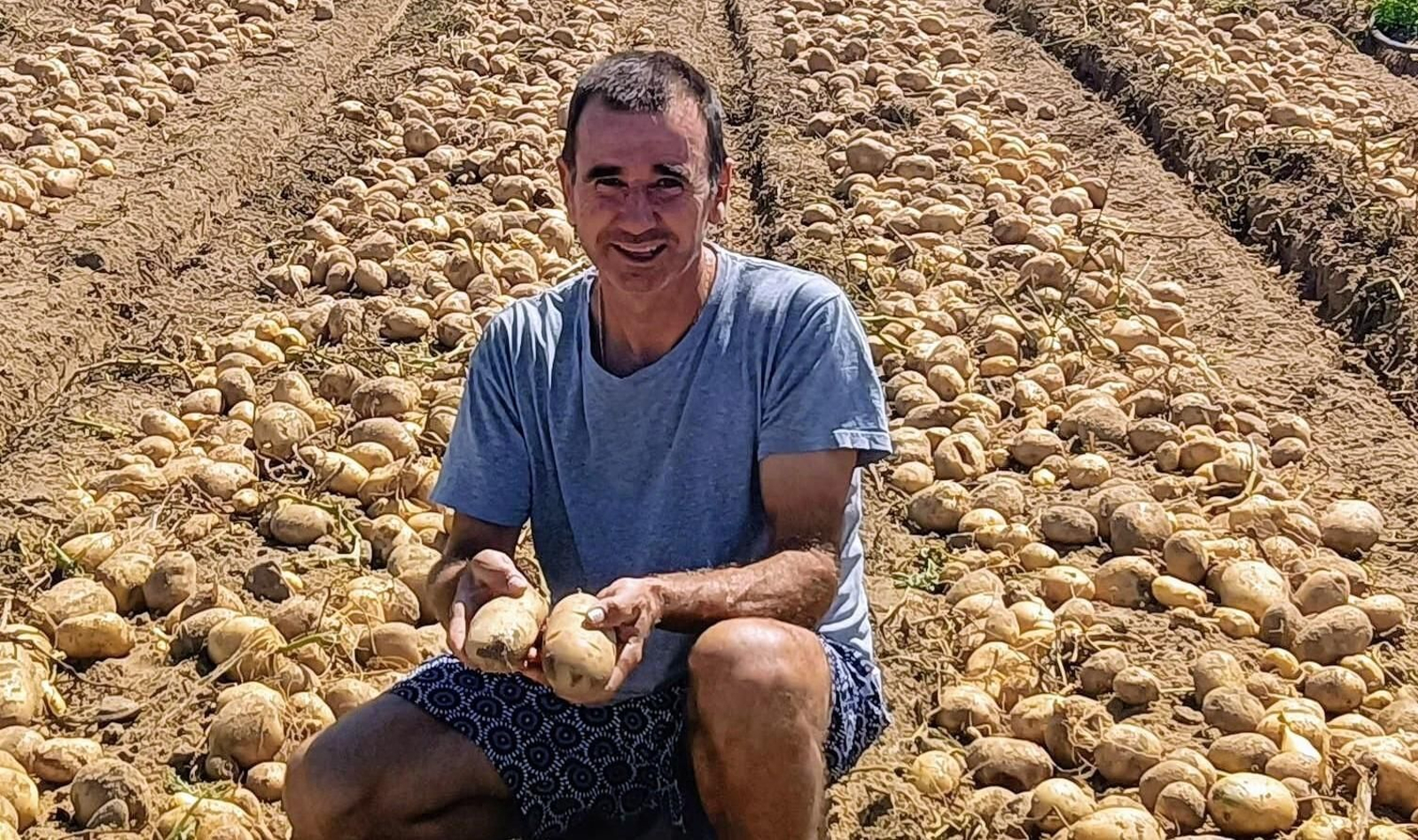 El agricultor sanluqueño Guancho Ibáñez, mostrando patatas de Sanlúcar en un cultivo de la localidad.