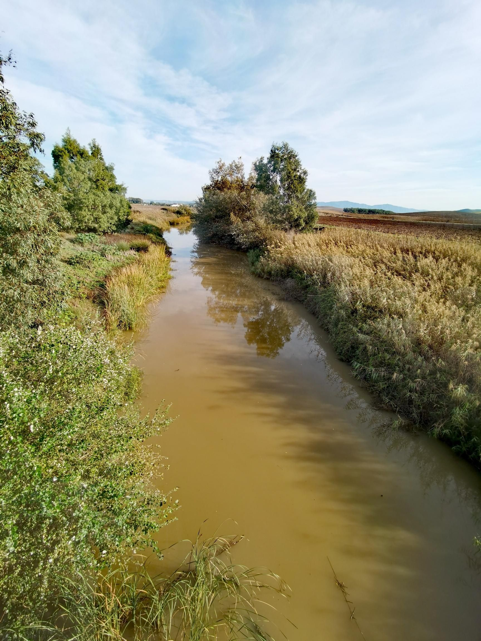 El río Barbate El río Barbate