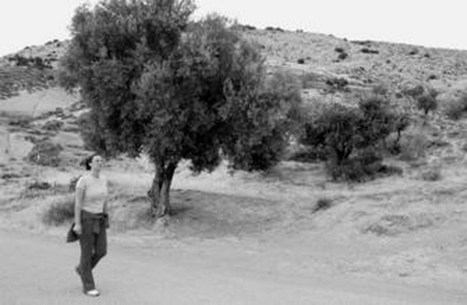 Paraje situado junto a El Caracolar, donde la asociación granadina sostiene que se encuentran los restos del poeta de Fuente Vaqueros.