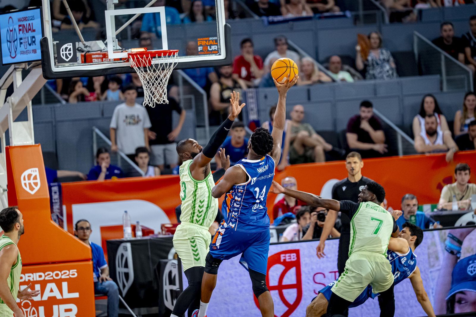 Las mejores fotos del ascenso del Betis Baloncesto