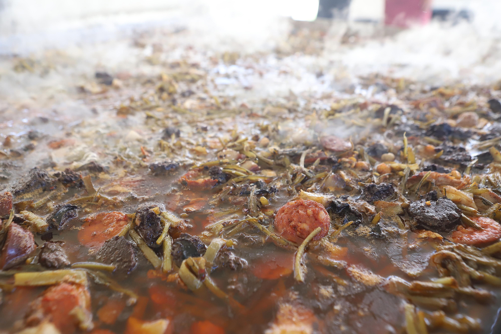 Fotos Tagarninada del Carnaval de Los Barrios.
