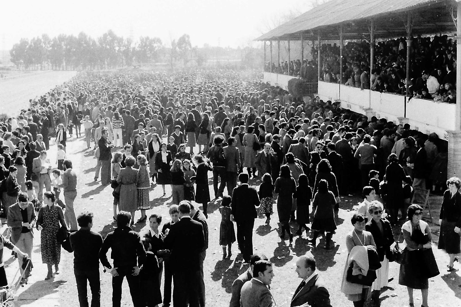 75 aniversario del hipódromo de Pineda