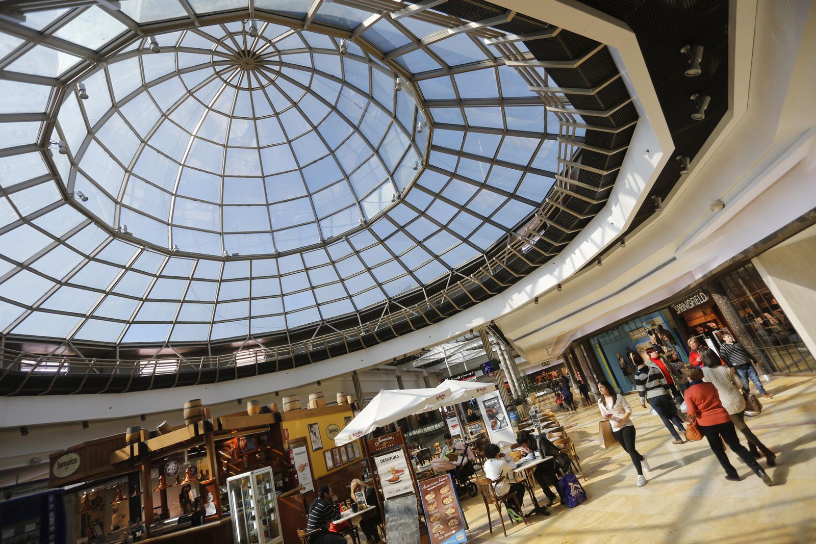 El centro comercial Rosaleda.