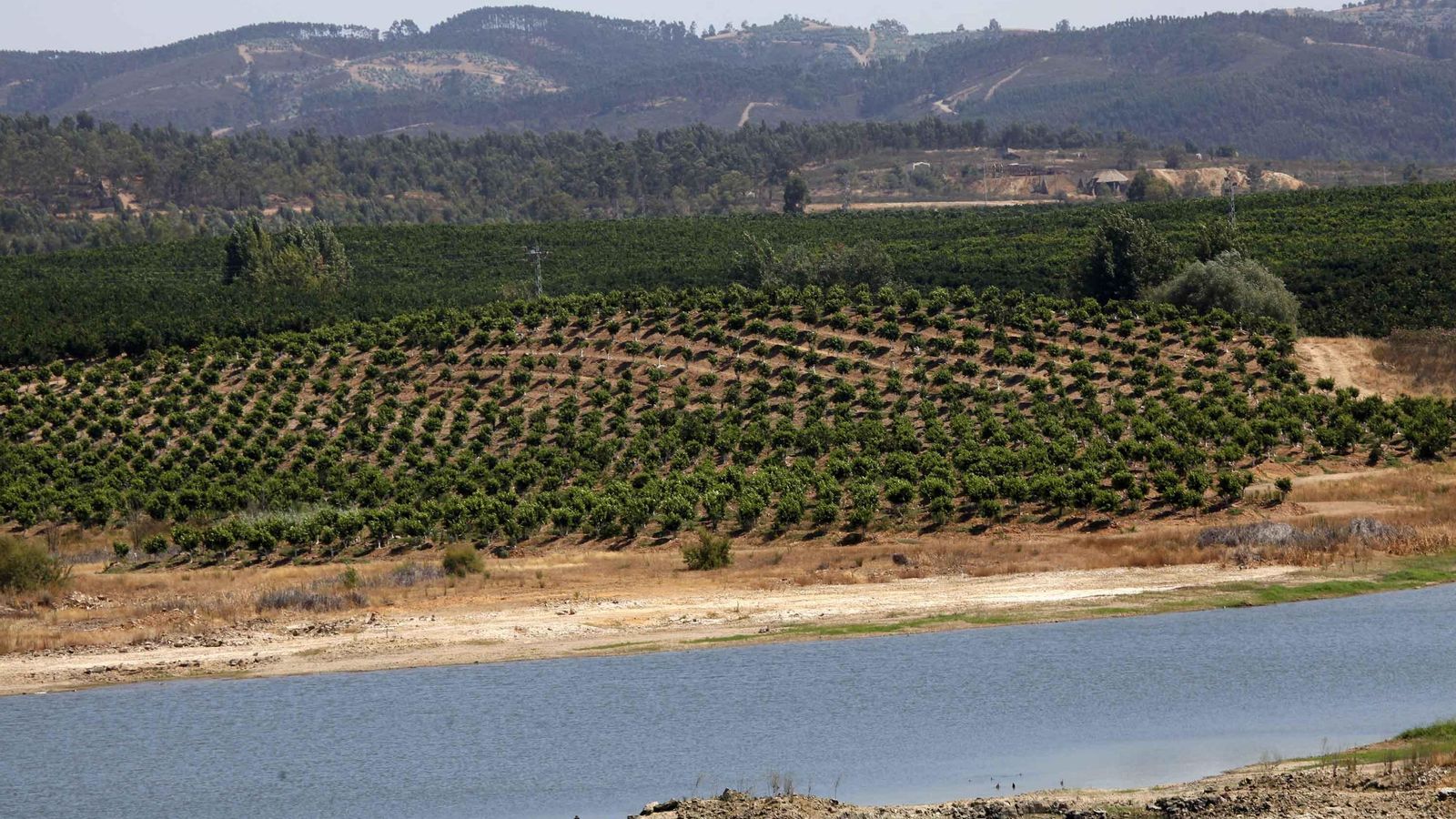 Los cultivos de regadío hacen de "cortafuegos" frente a grandes incendios forestales en El Andévalo