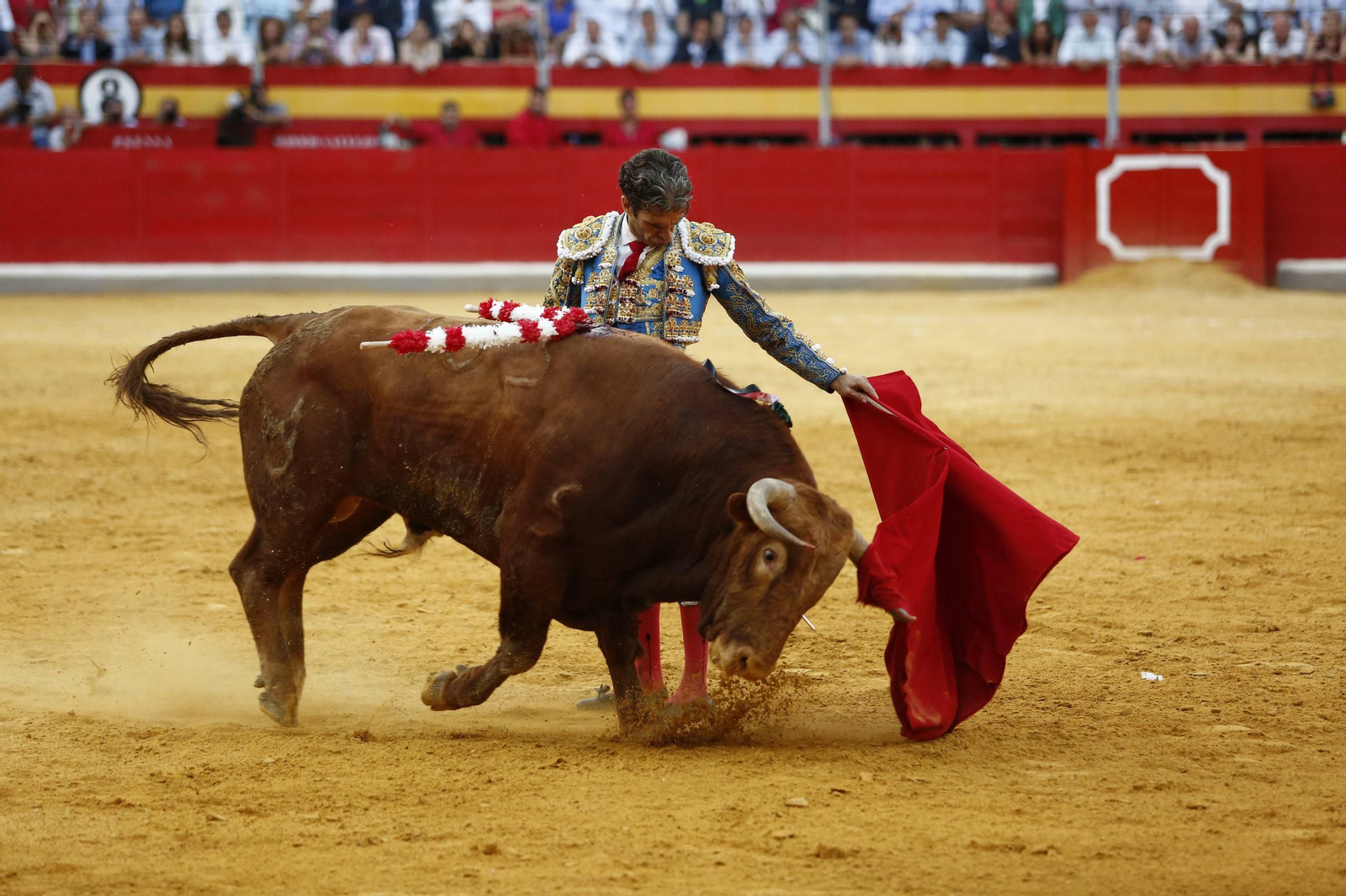 Las mejores imágenes del regreso a los ruedos de José Tomas en Granada Las mejores imágenes del regreso a los ruedos de José Tomas en Granada