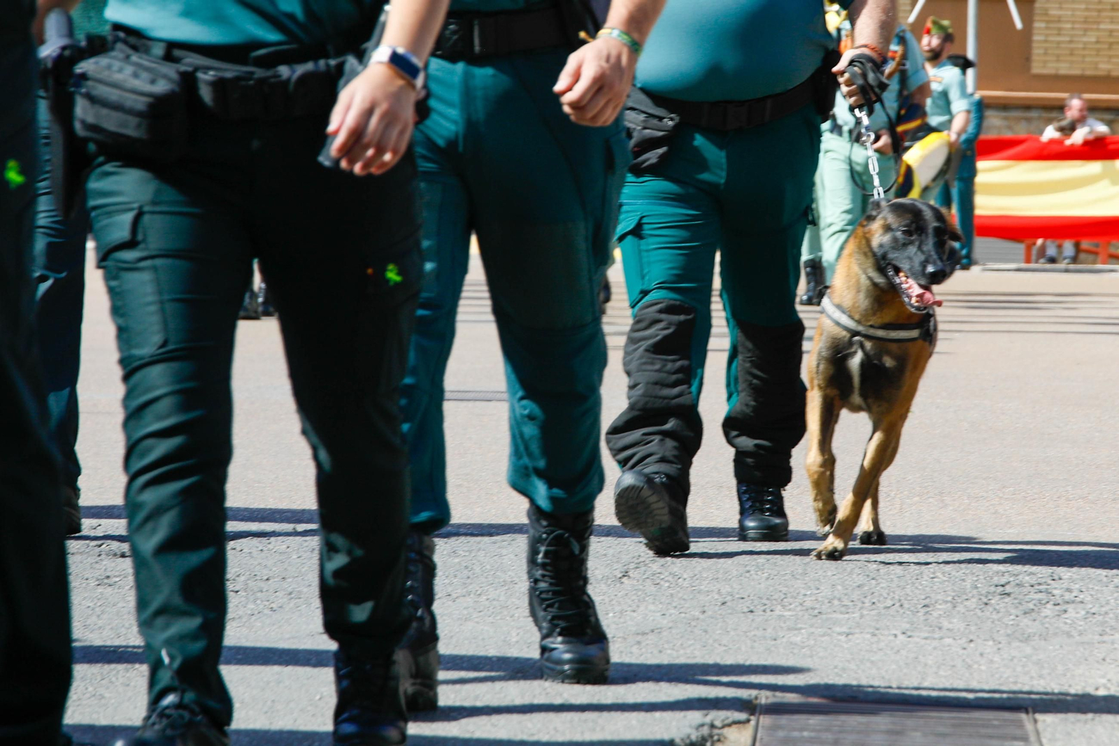 Los actos de la Guardia Civil en honor a la Virgen del Pilar, en imágenes