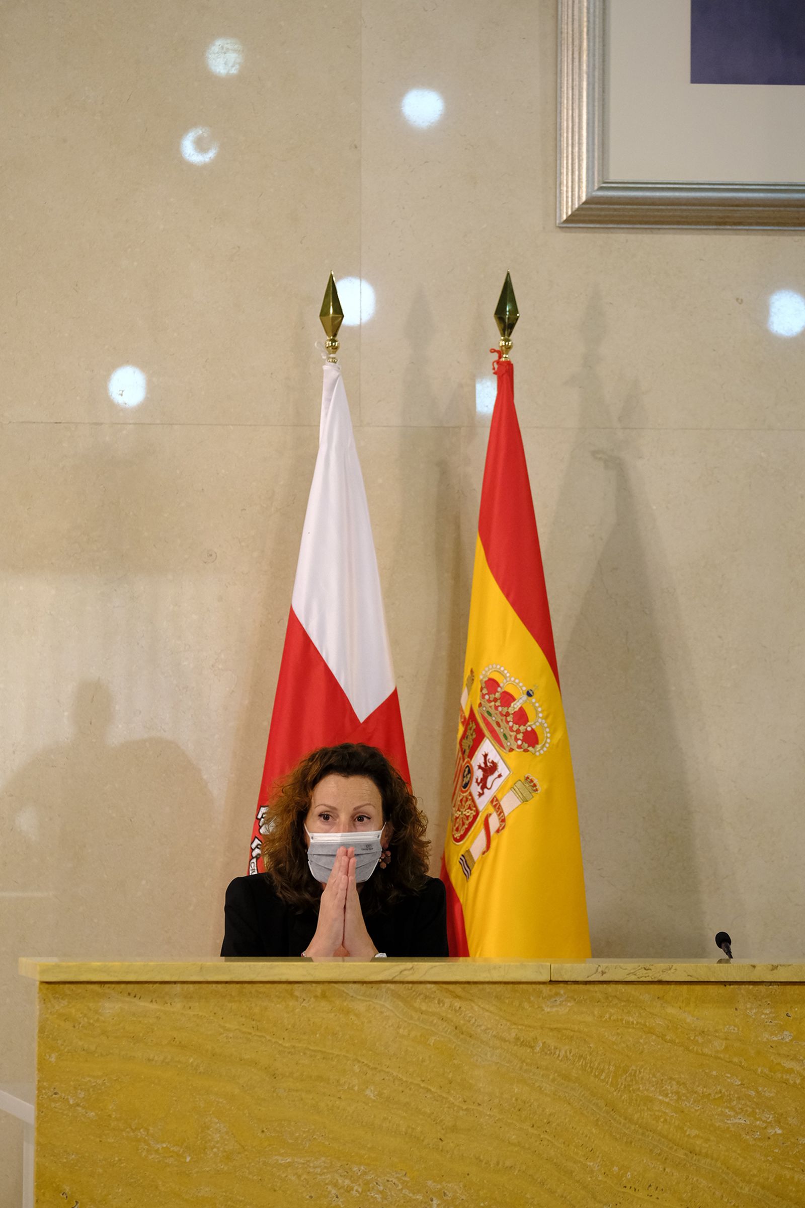 Fotogalería pleno ordinario del Ayuntamiento de Almería