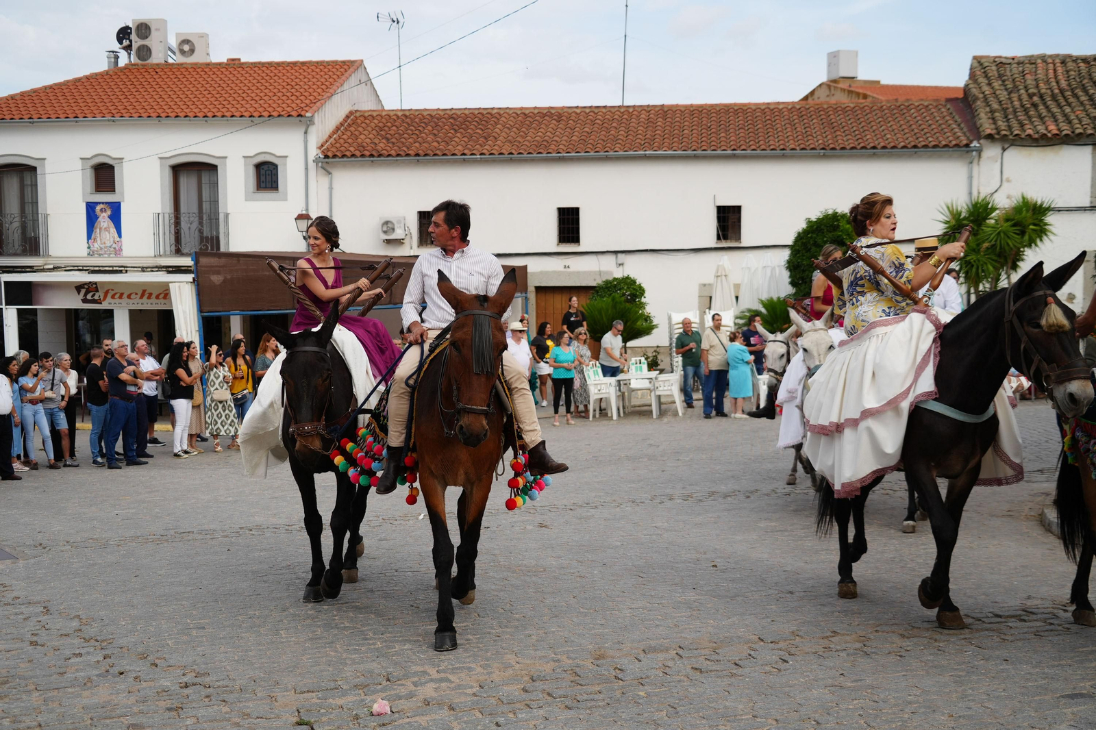 Las mejores imágenes de la Fiesta de los Piostros de Pedroche, la mayor concentración equina de Andalucía