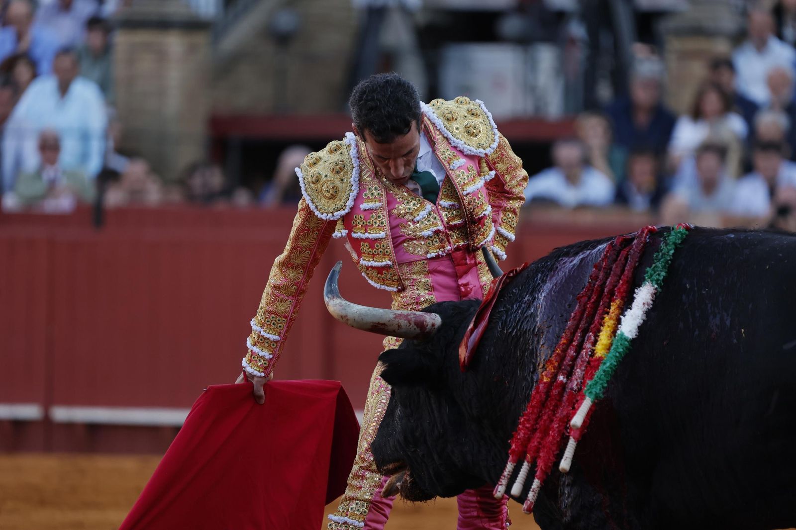 Las imágenes del primer festejo de San Miguel