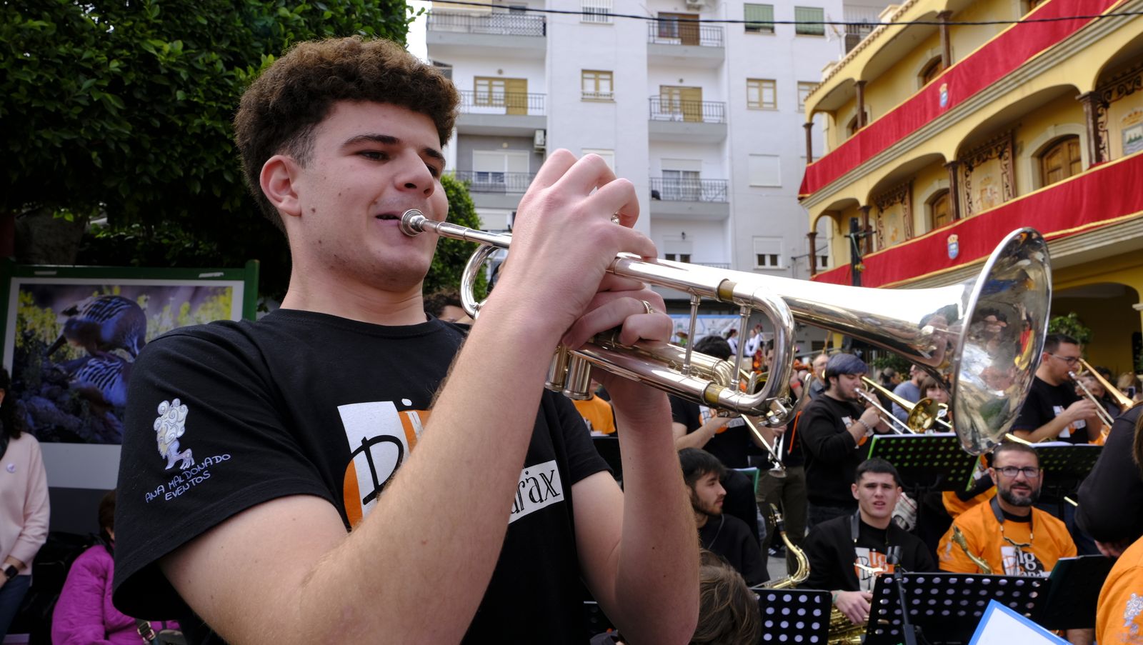 El Día de la Naranja en Gádor, en imágenes