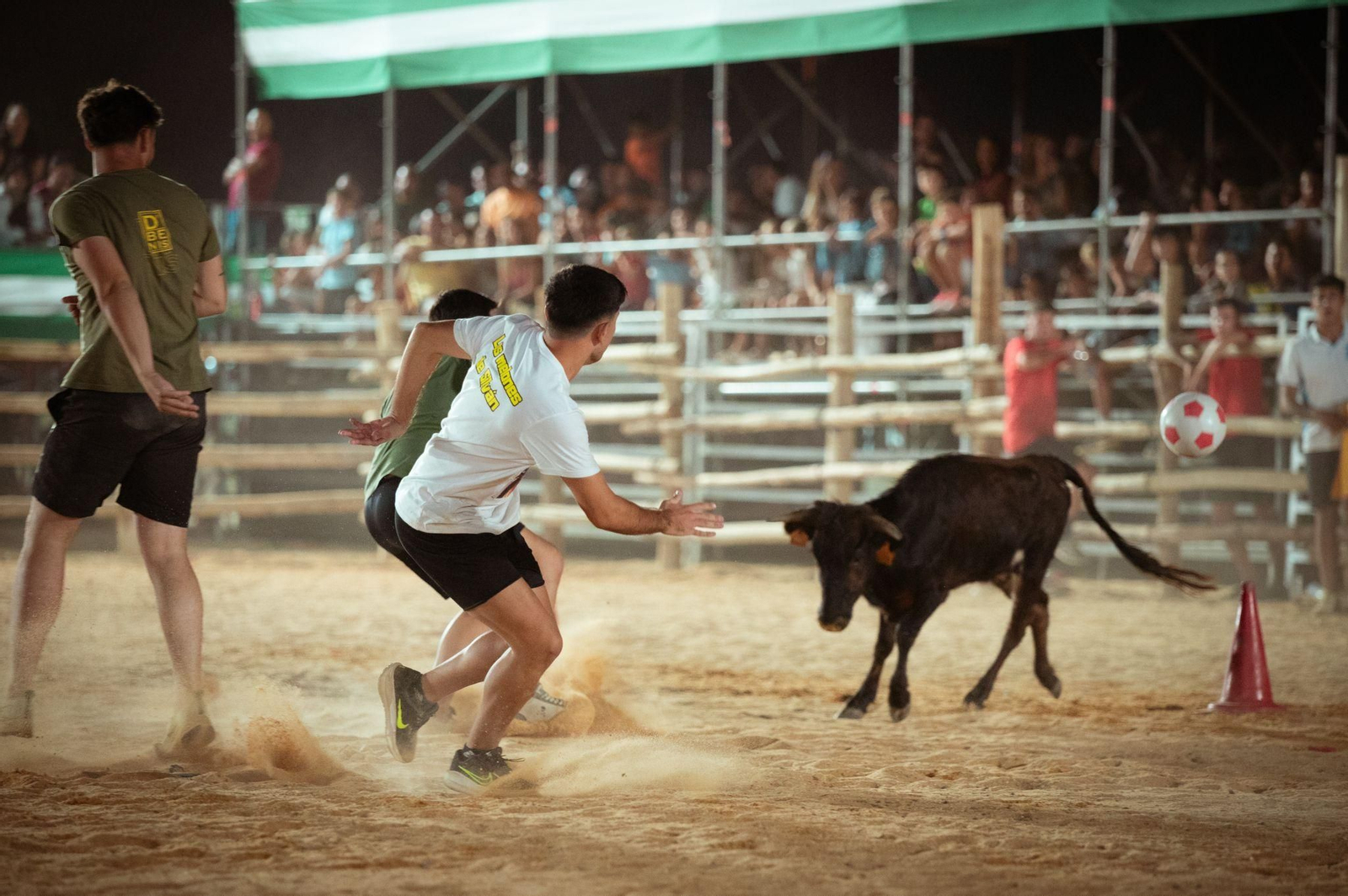 Imágenes de las Fiestas Taurinas Tradicionales 2025.