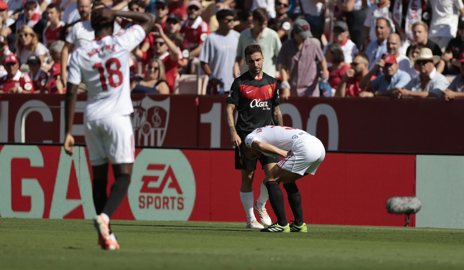 Las fotos del Sevilla FC - Mallorca
