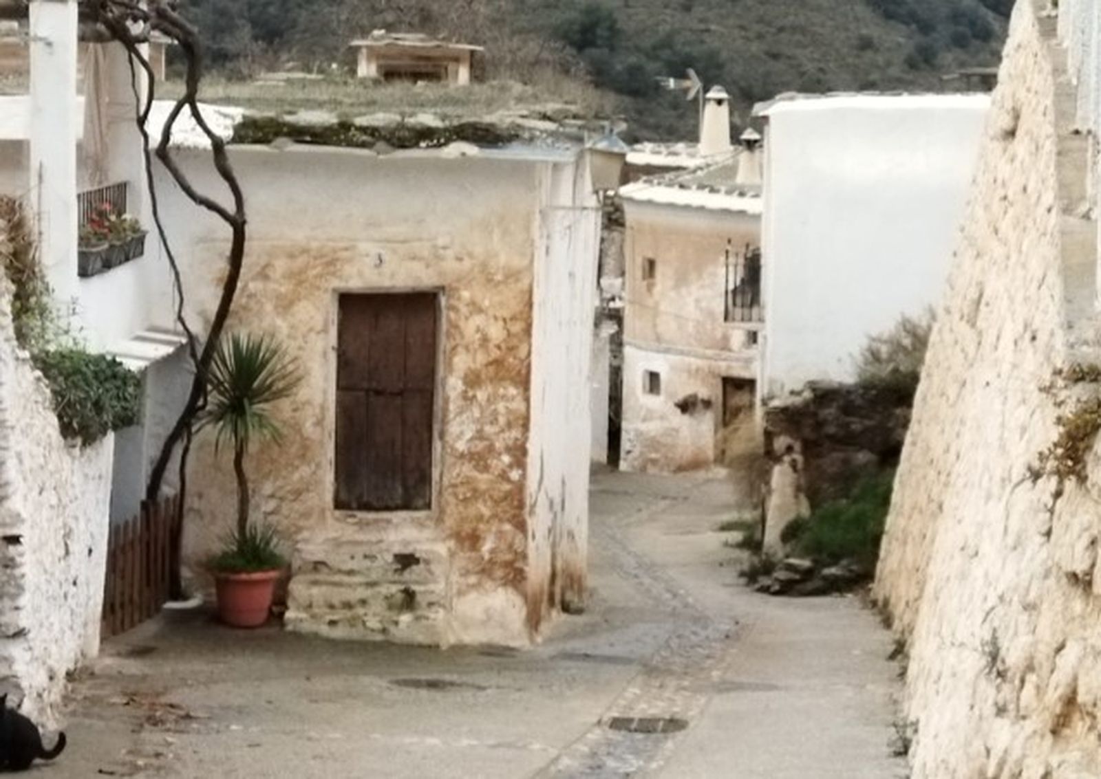 Así está la Alpujarra de Granada tras el paso de la calima