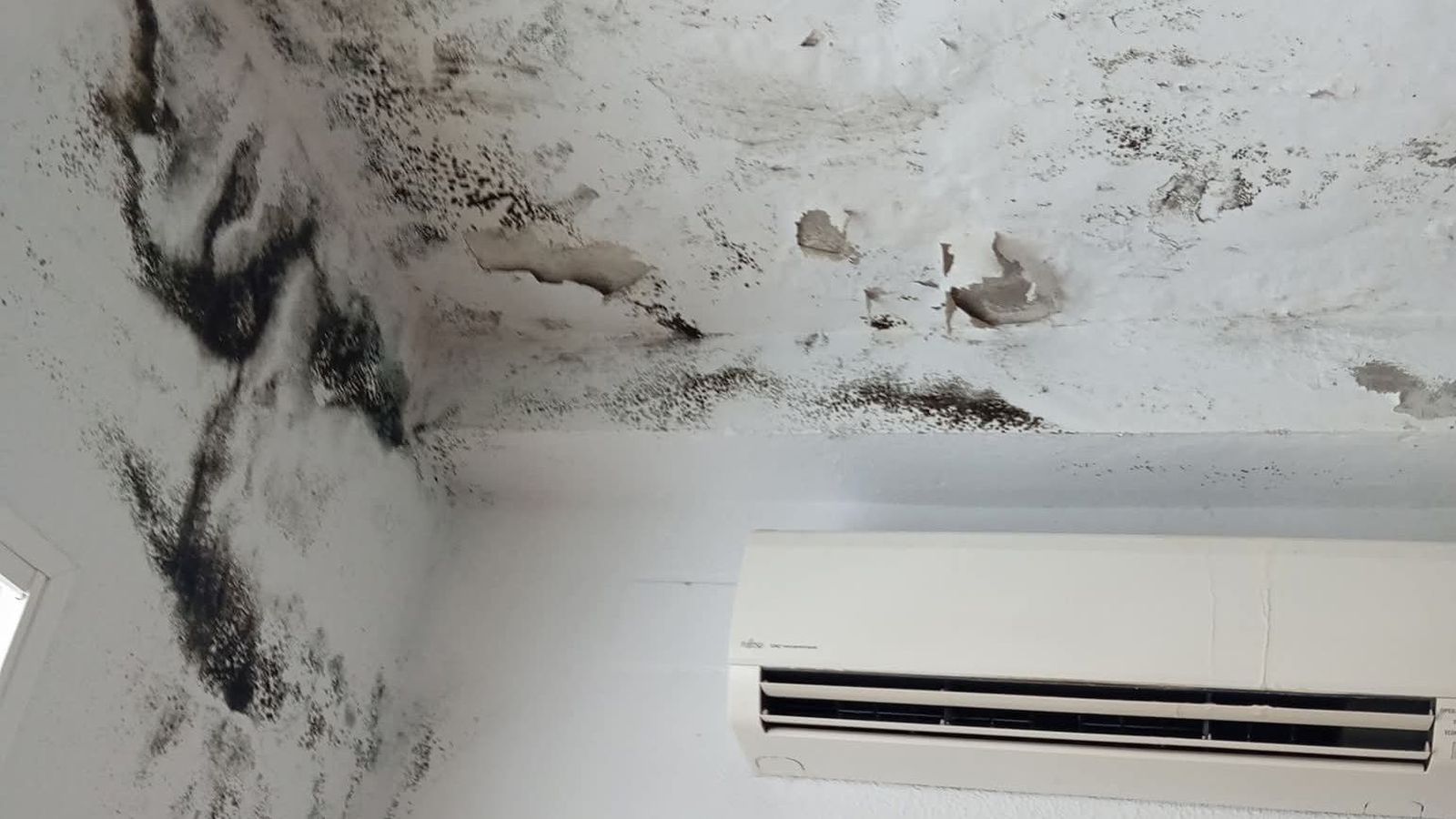 Así están las paredes de algunas de las aulas del edificio.