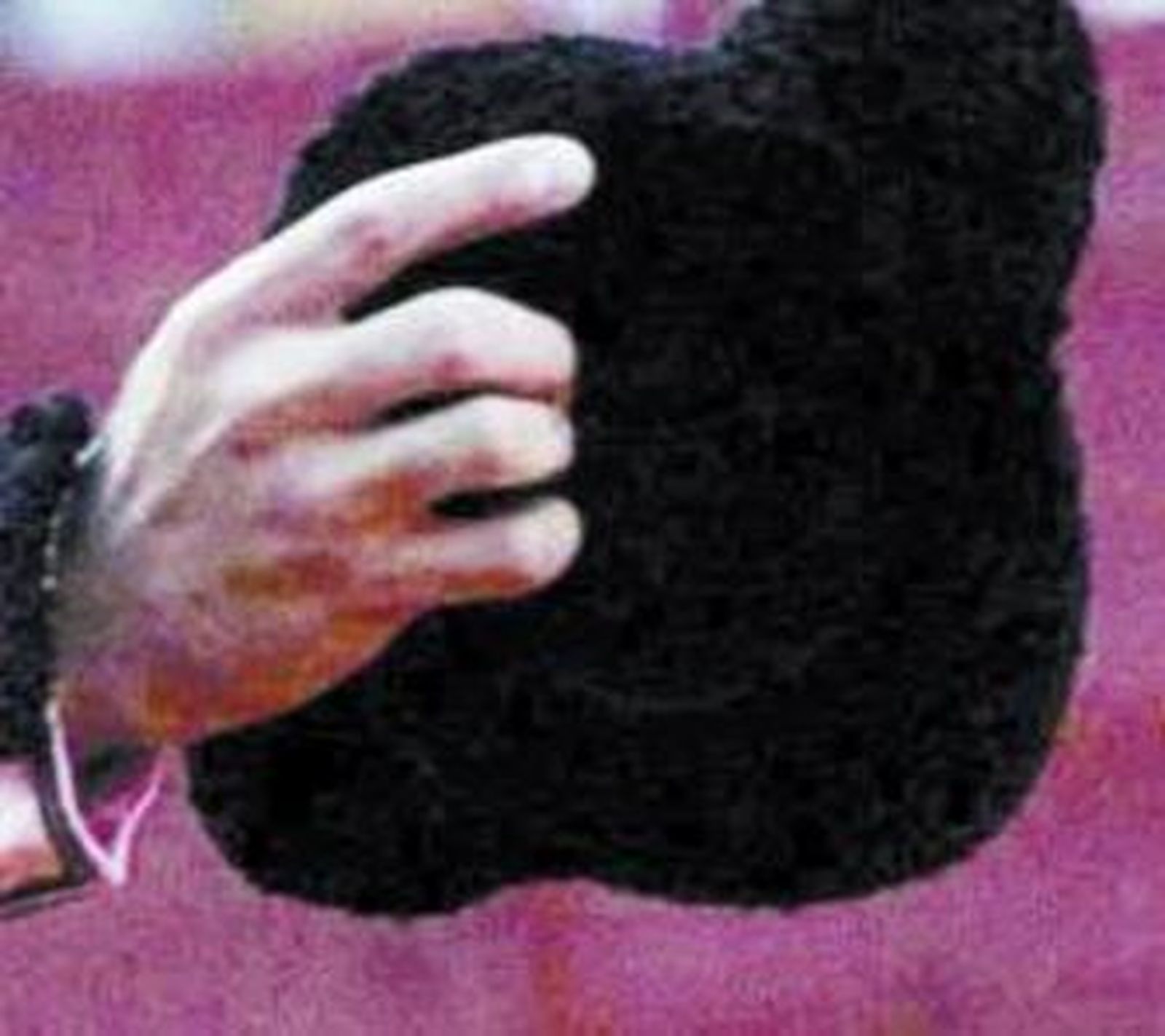 De coraza a obra de arte