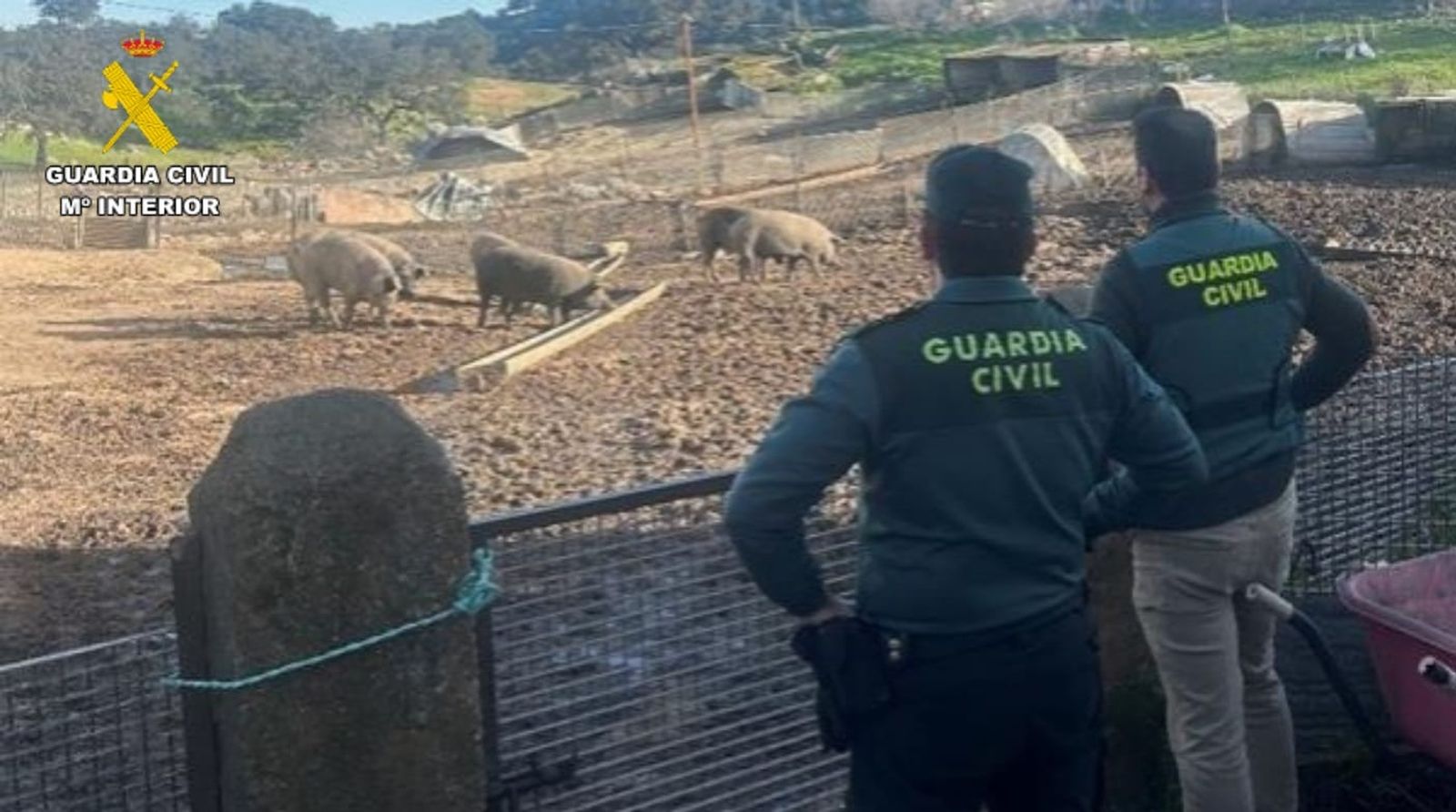 Agentes de la Guardia Civil en la finca intervenida.