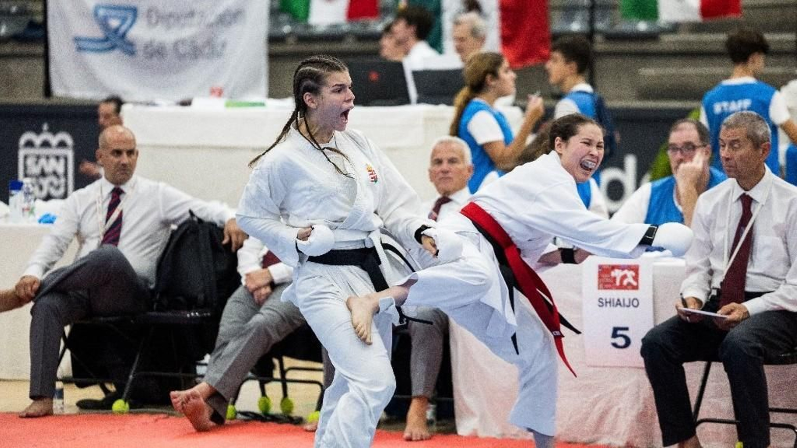 Camponato Mundial de Kárate celebrado en San Fernando