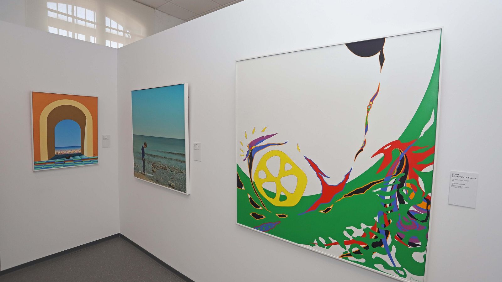 Varias obras de Gayubo expuestas en el Museo Municipal