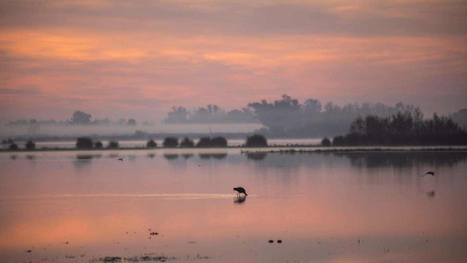 Este paisaje de Huelva, uno de los más bonitos de España para disfrutar los colores de la primavera