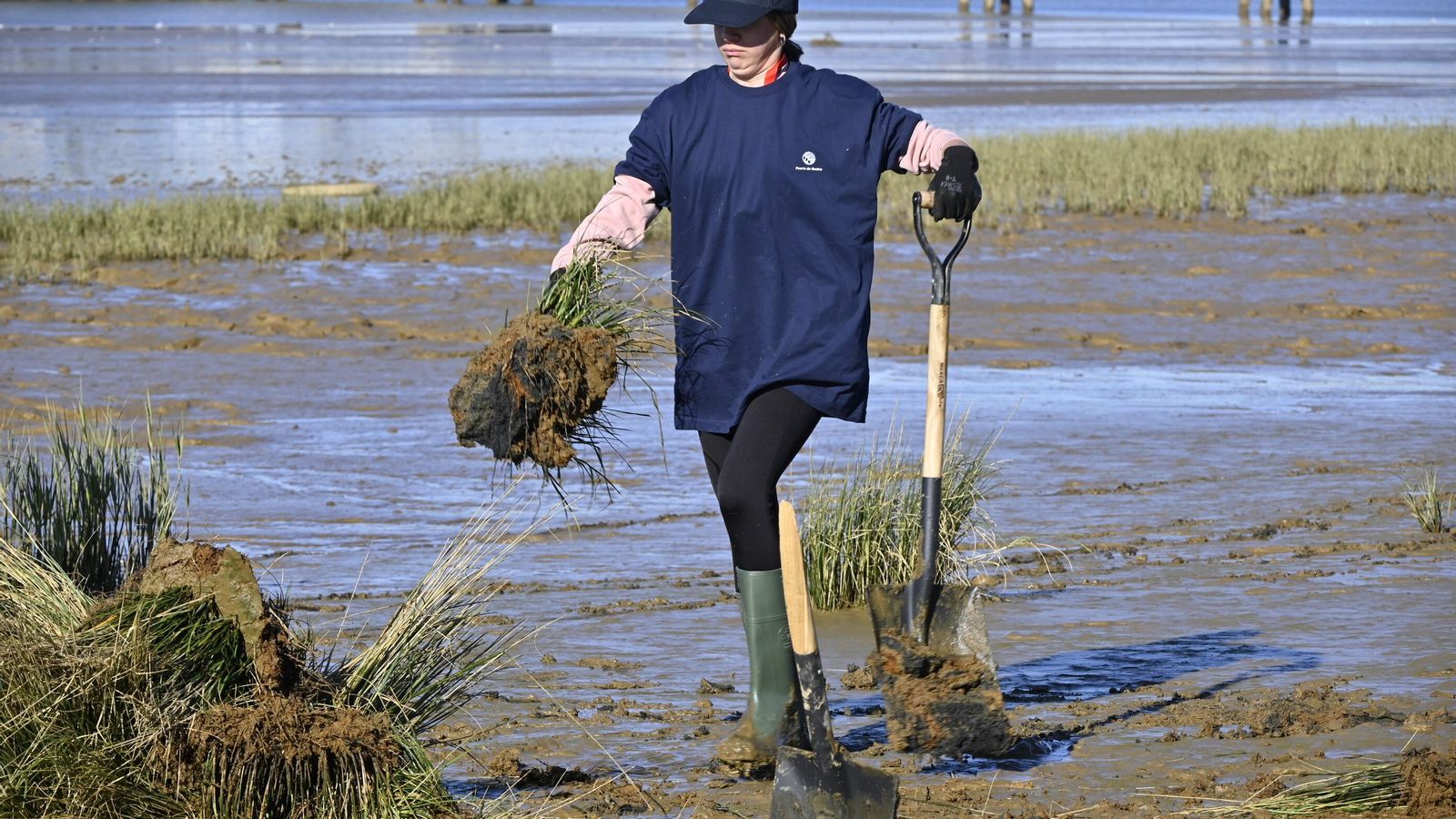Jornada de restauración en la marisma