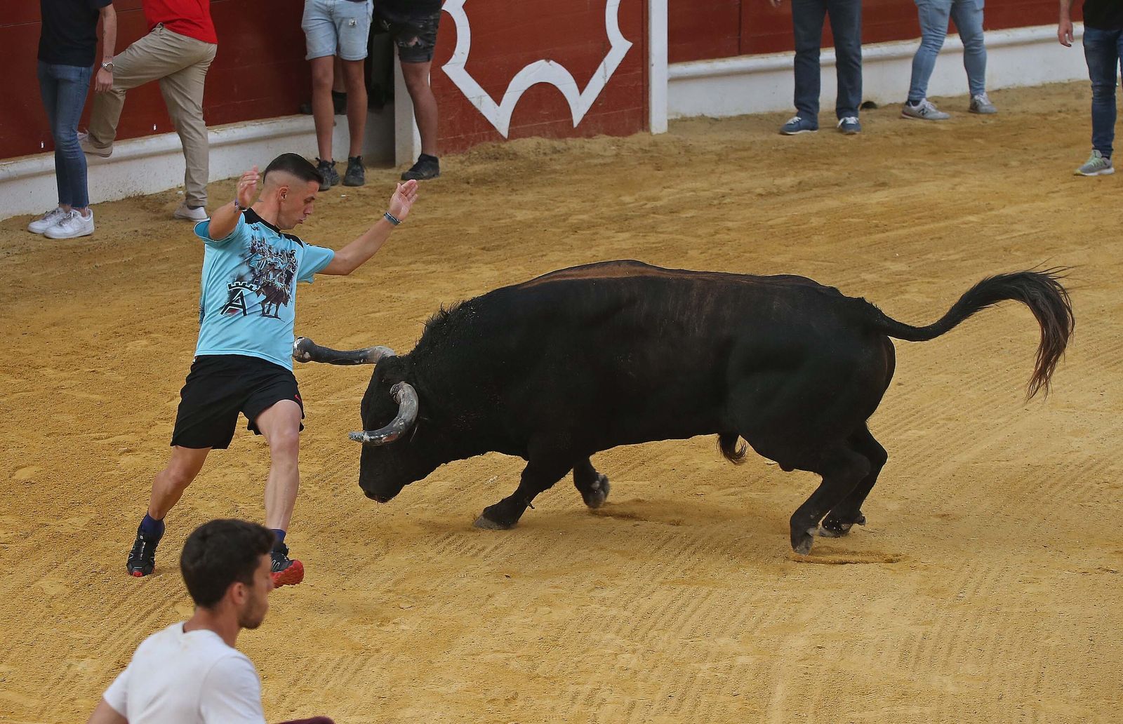 Fotos del Toro Embolao en Los Barrios