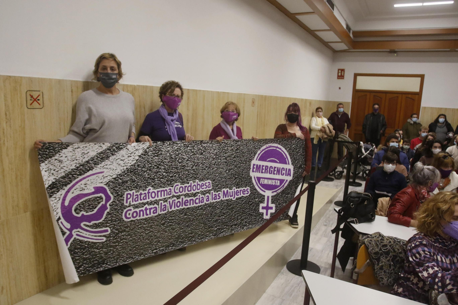 Pleno extraordinario por el Día Internacional de la Eliminación de la Violencia contra la Mujer.