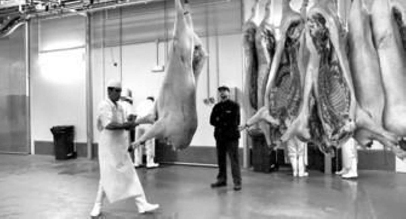 Un operario trabaja en el despiece de animales en el matadero de la cooperativa vallesana.