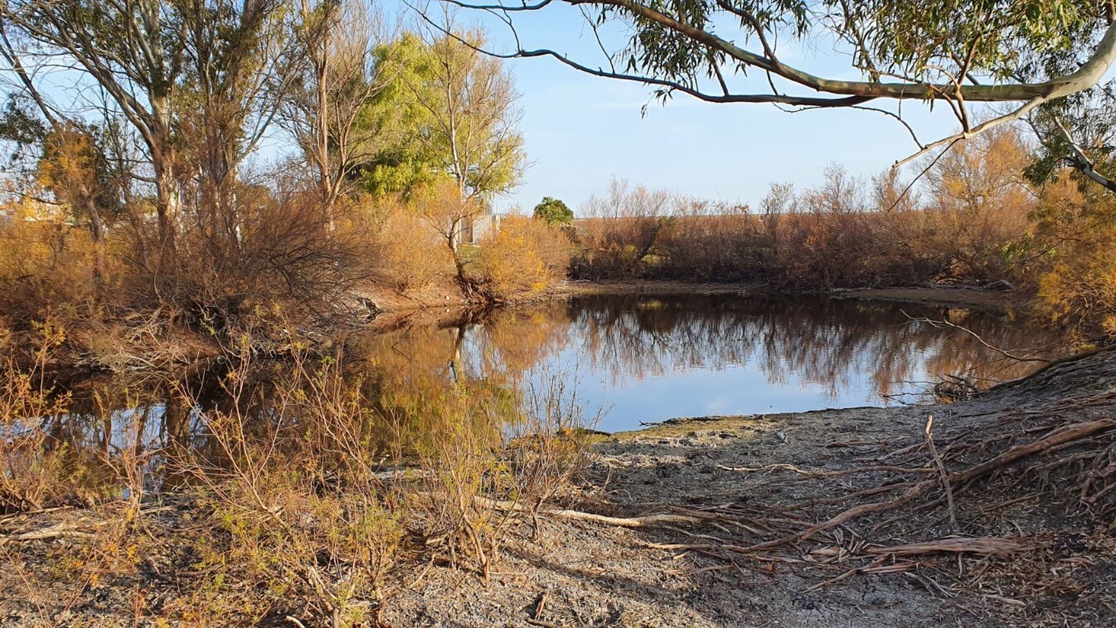 La laguna de Las Siete Pilas, una de las charcas casi desconocidas del término municipal.