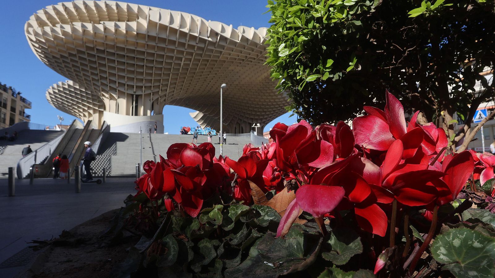 Estampa primaveral en las 'setas' de las Encarnción.