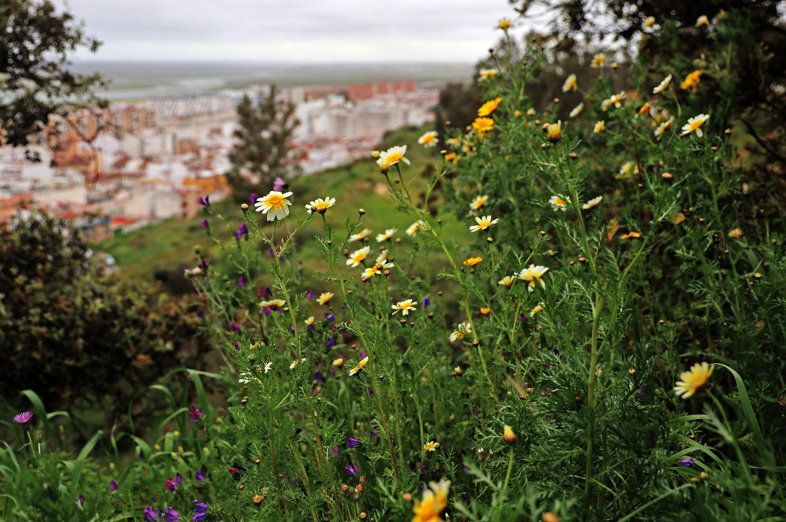 Imágenes del viernes 21 de marzo en Huelva