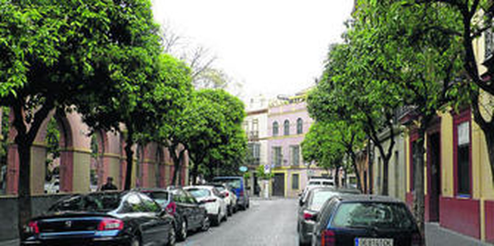 De puro azahar el último hálito