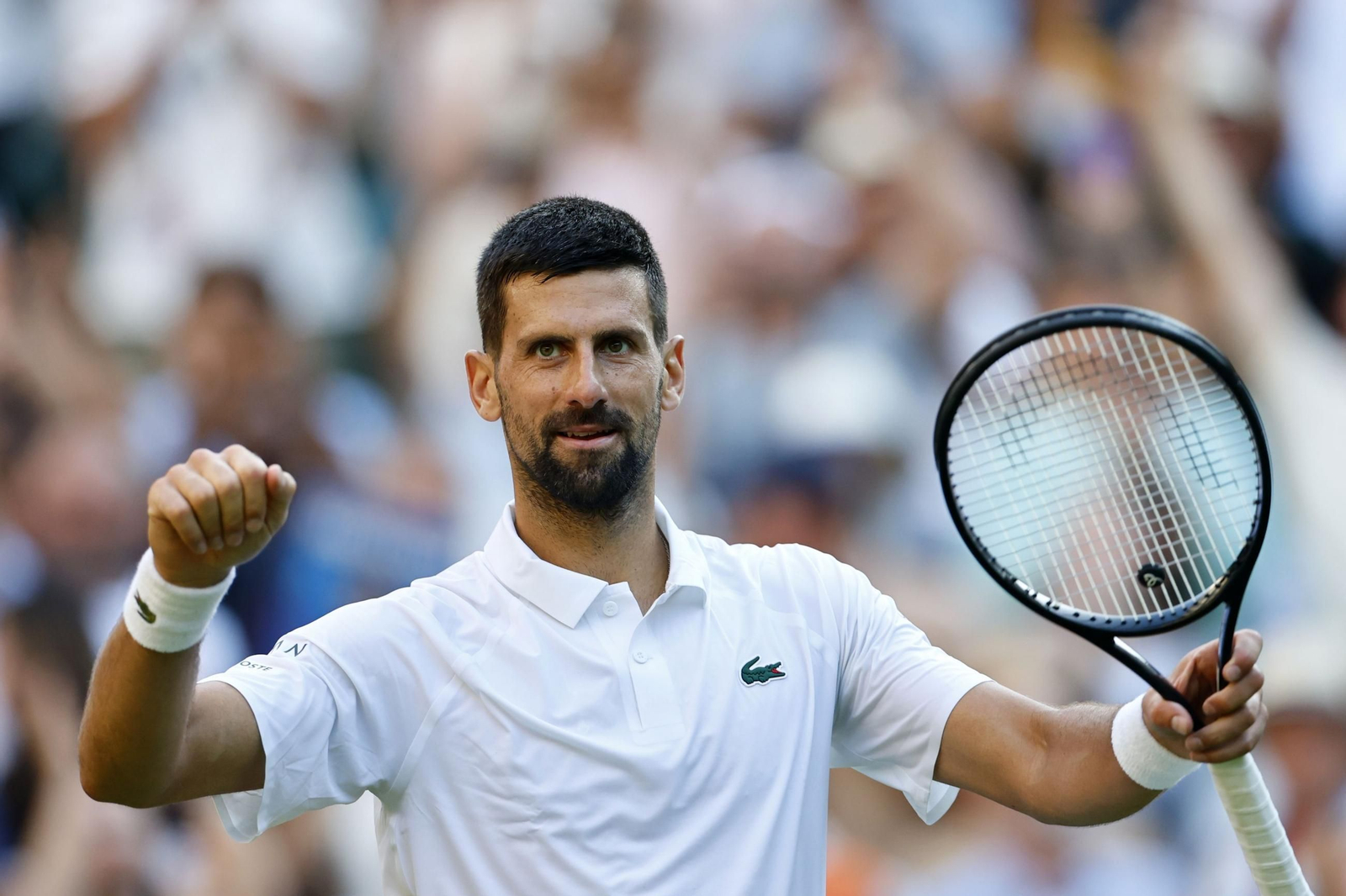 Las fotos de Wimbledon con las clasificaciones de Djokovic y Sinner