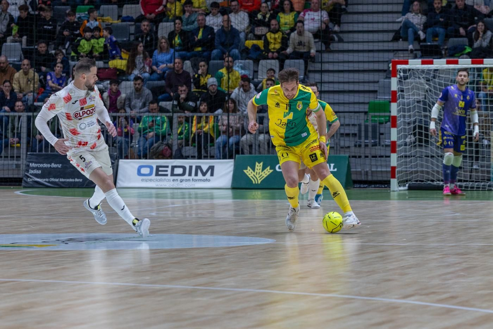 Las mejores fotos del empate entre Jaén Paraíso Interior FS y ElPozo Murcia