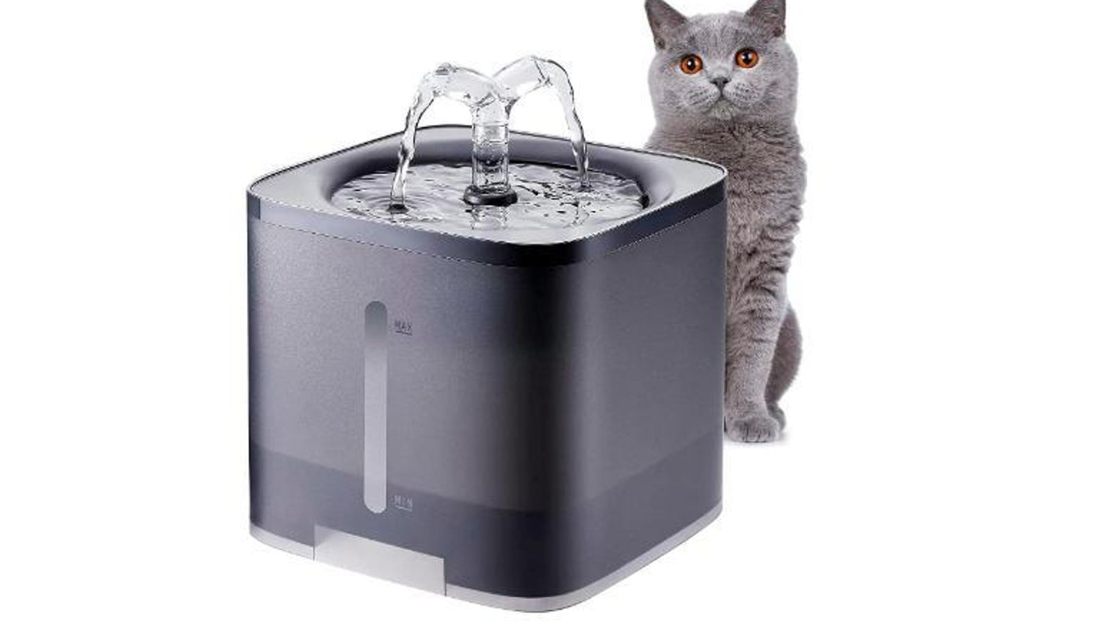 bebedero automático