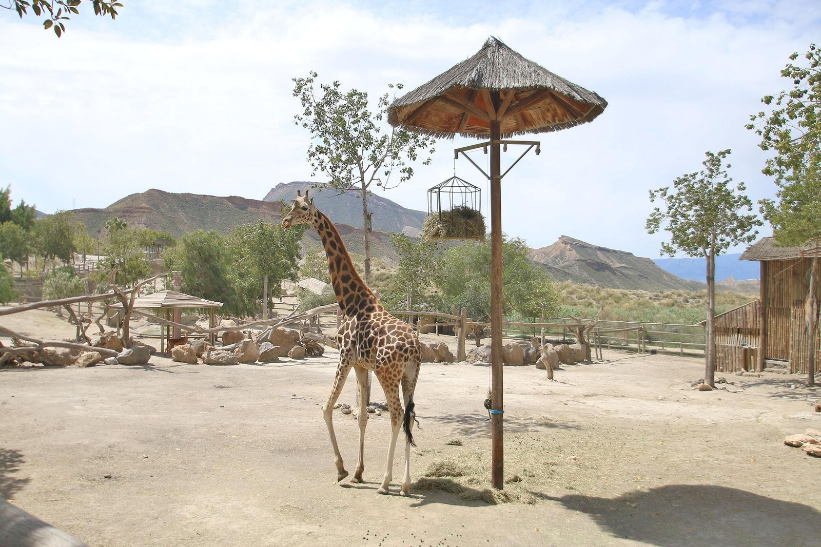 Fotogalería del Oasys Mini Hollywood sin actividad durante el coronavirus