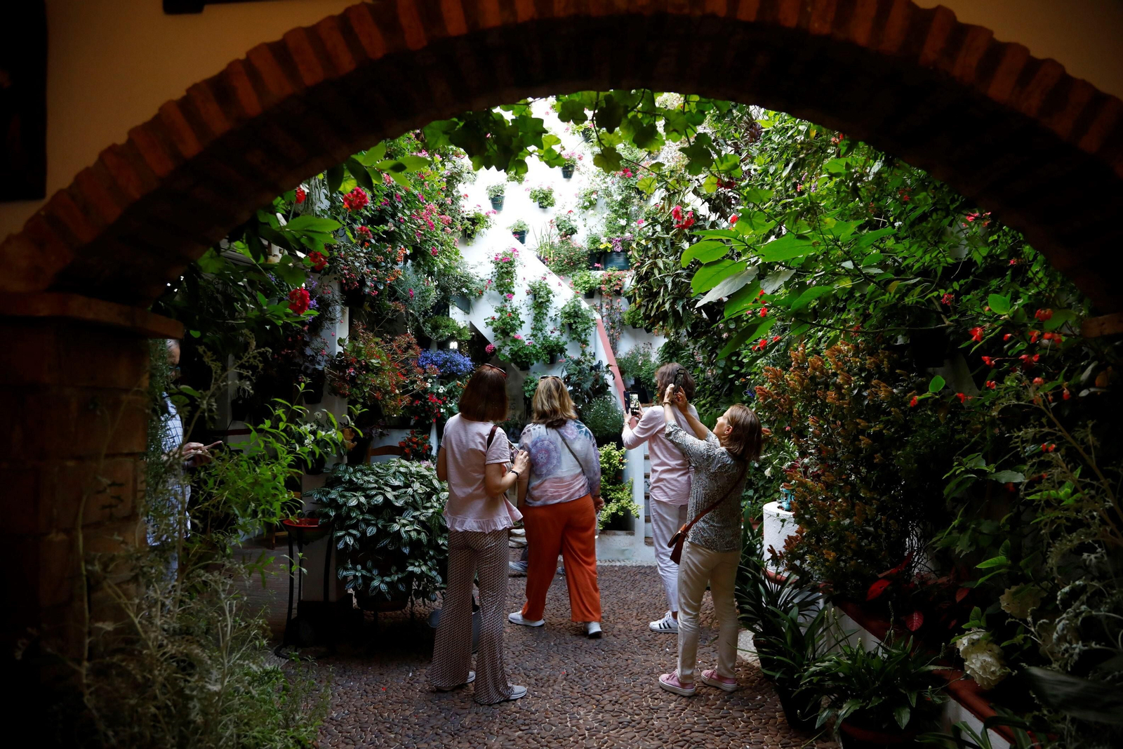 Los ganadores del Concurso de Patios de Córdoba 2023, en imágenes