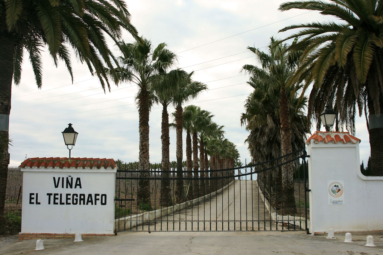 Acceso a la Viña el Telégrafo donde apareció muerta Francisca Pérez.
