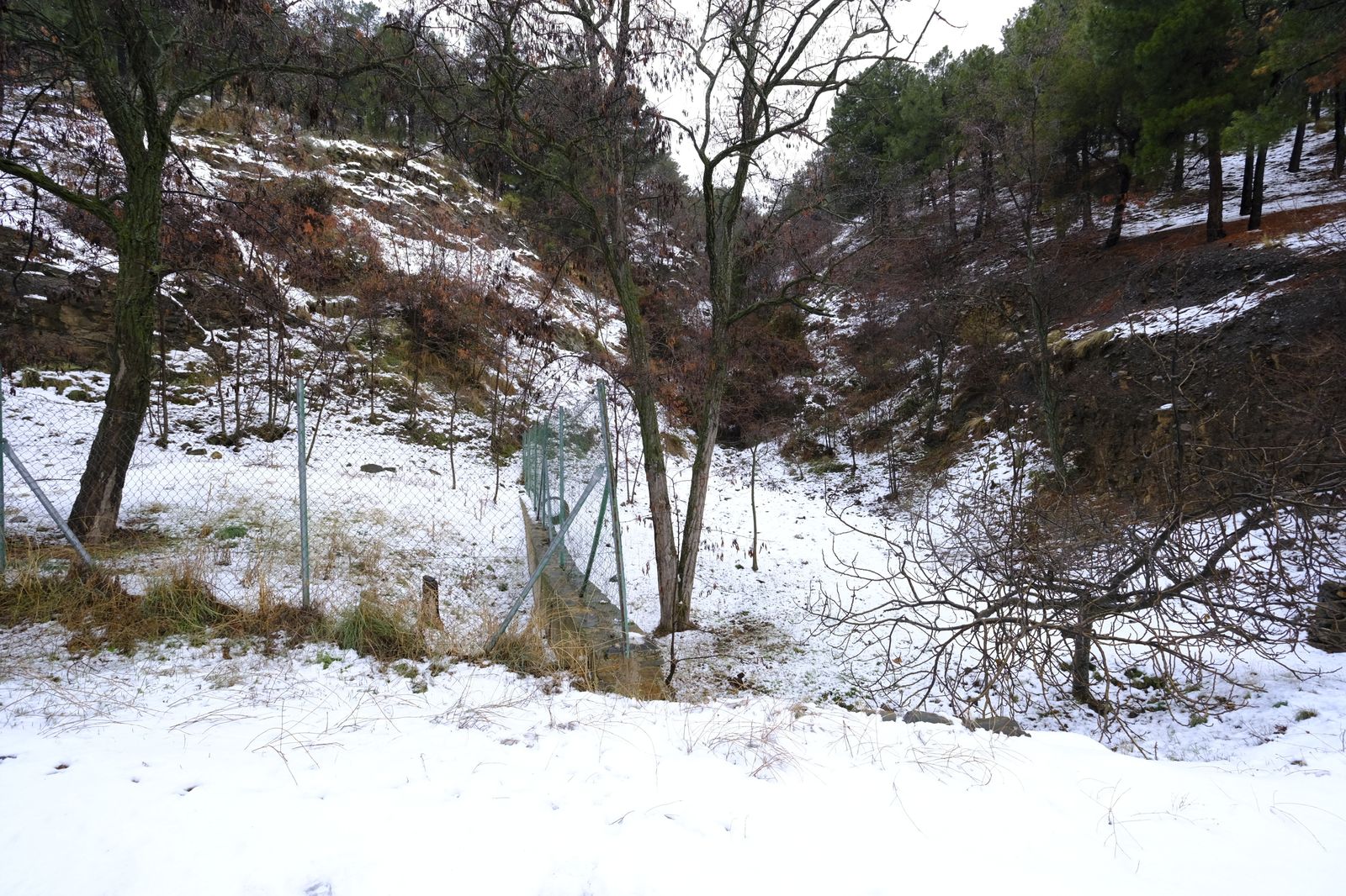 Fotogalería nevada en la Provincia de Almería