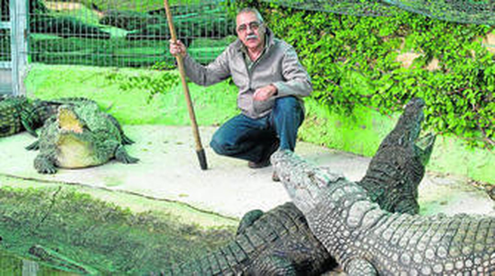 Enrique Prieto posa con tres cocodrilos momentos después de la entrevista con este diario.