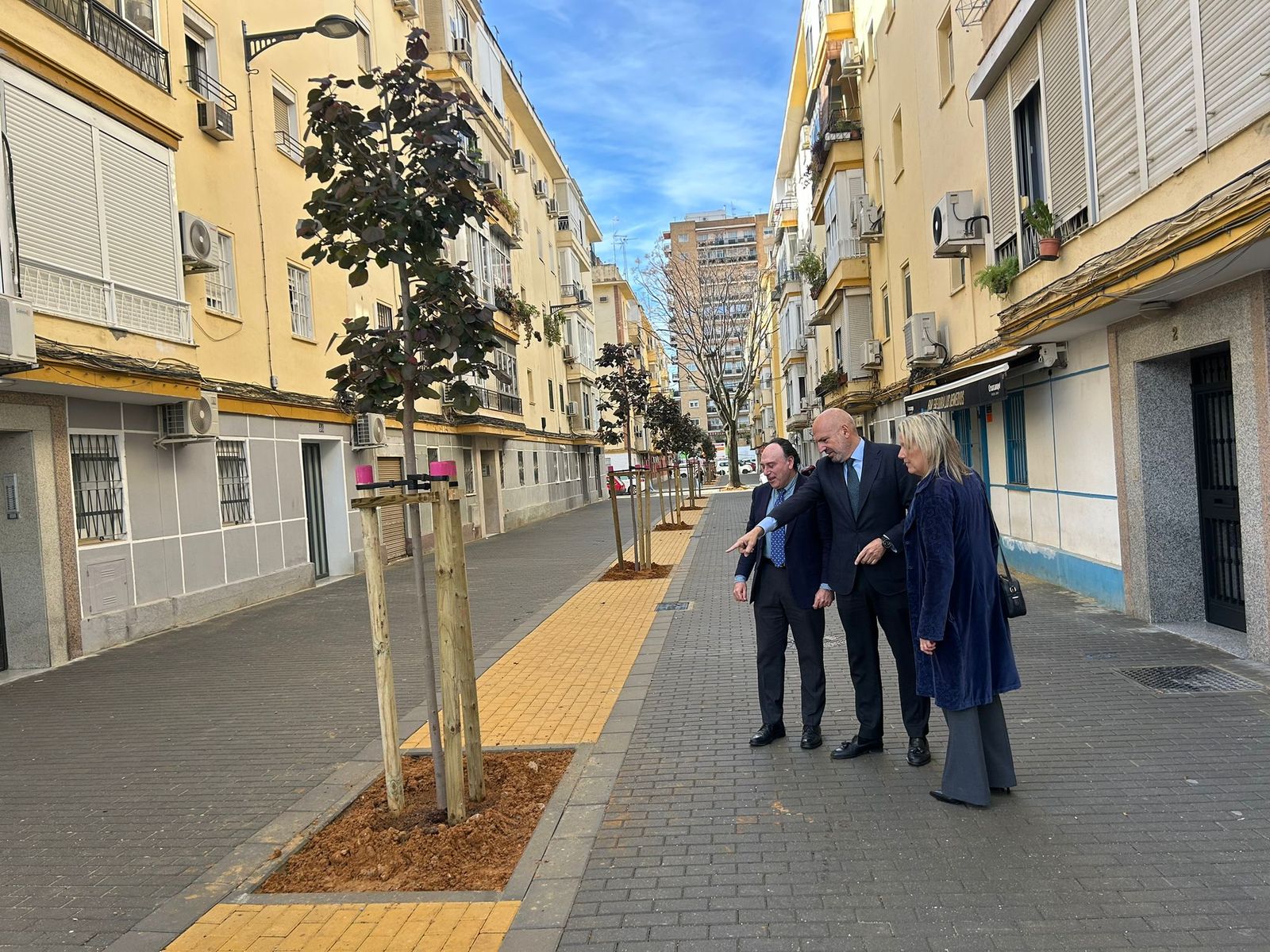 Manuel Alés contempla los árboles plantados en la calle Virgen de Todos los Santos.