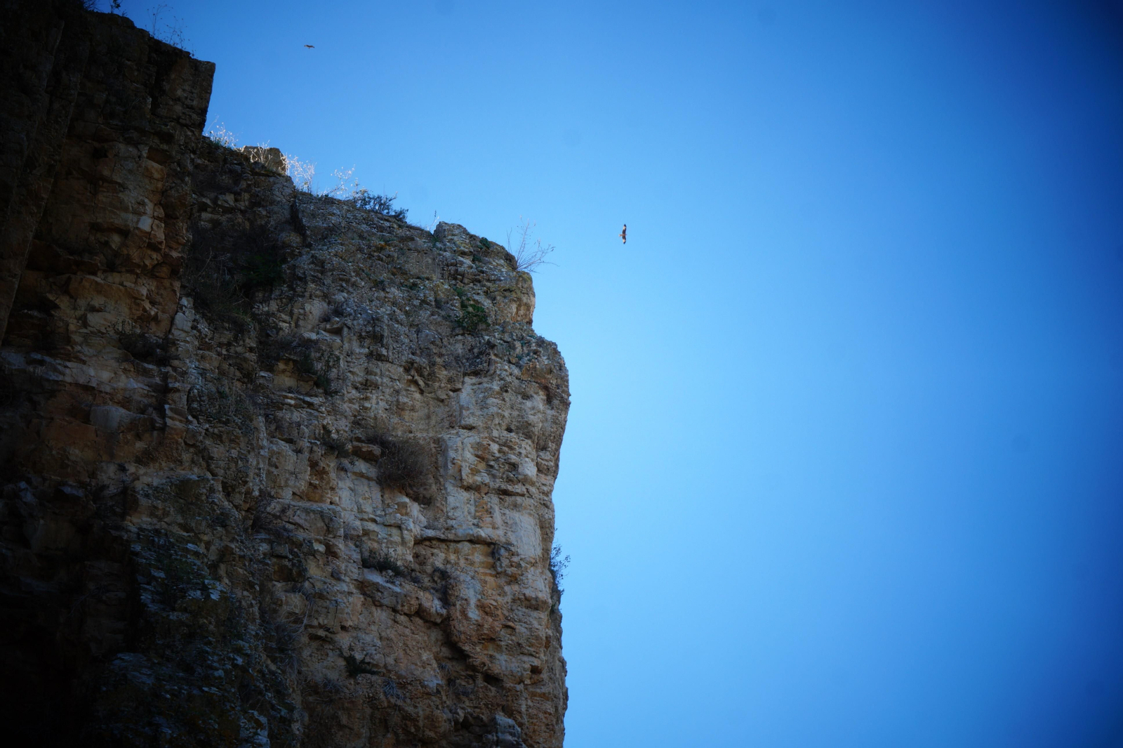 Piedra Luenga, la mole rocosa de Montilla, en fotografías