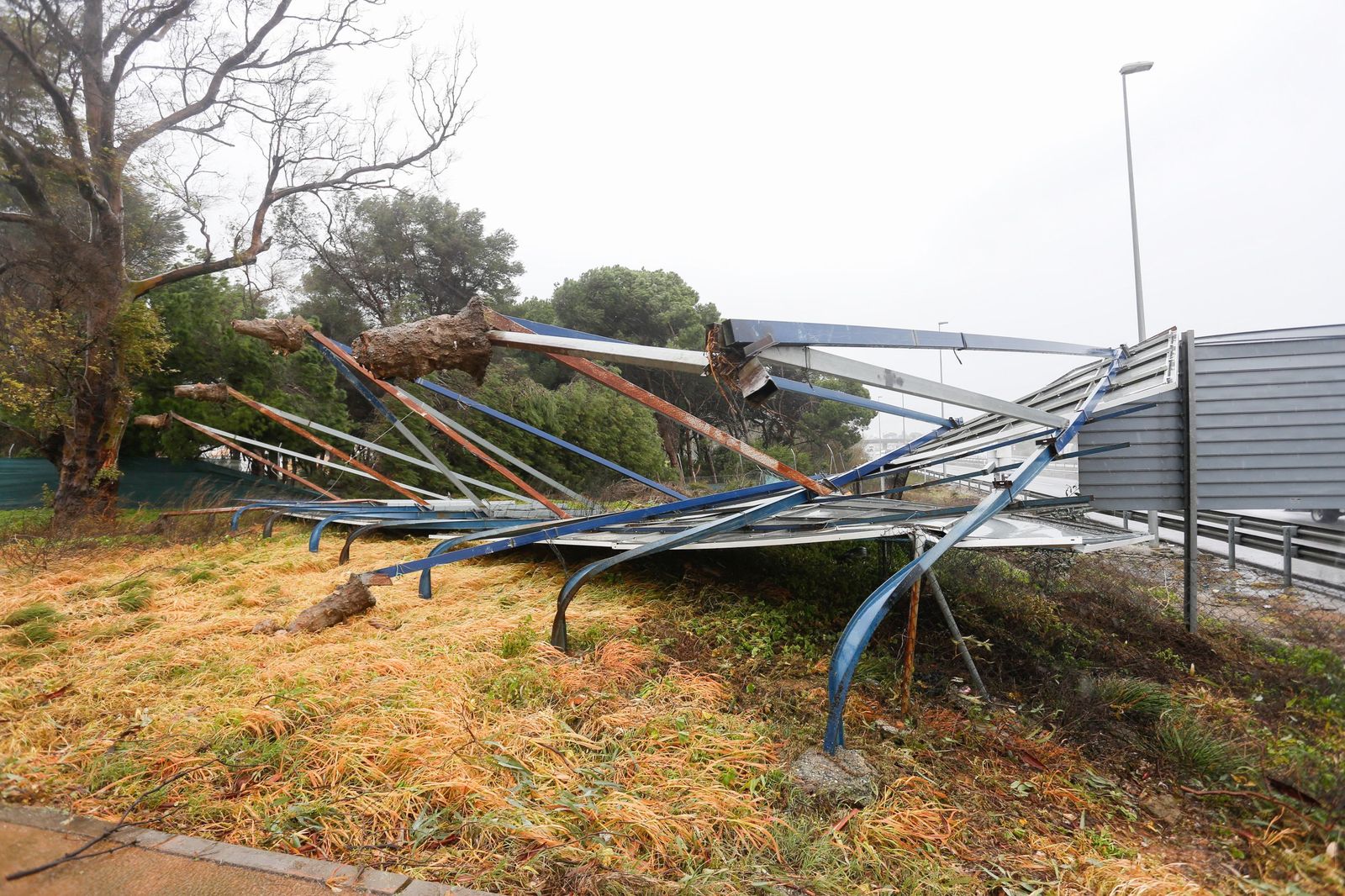 Fotos del temporal de lluvia y viento por la borrasca Kristin en el Campo de Gibraltar