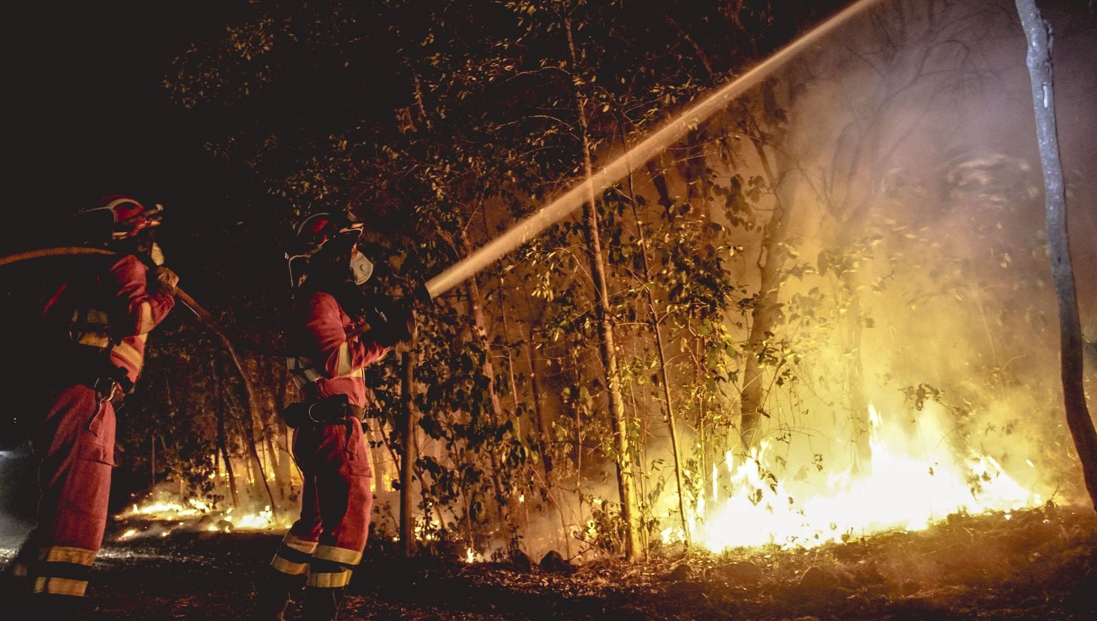 Dos bomberos durante las labores de extinción del fuego de Tenerife.